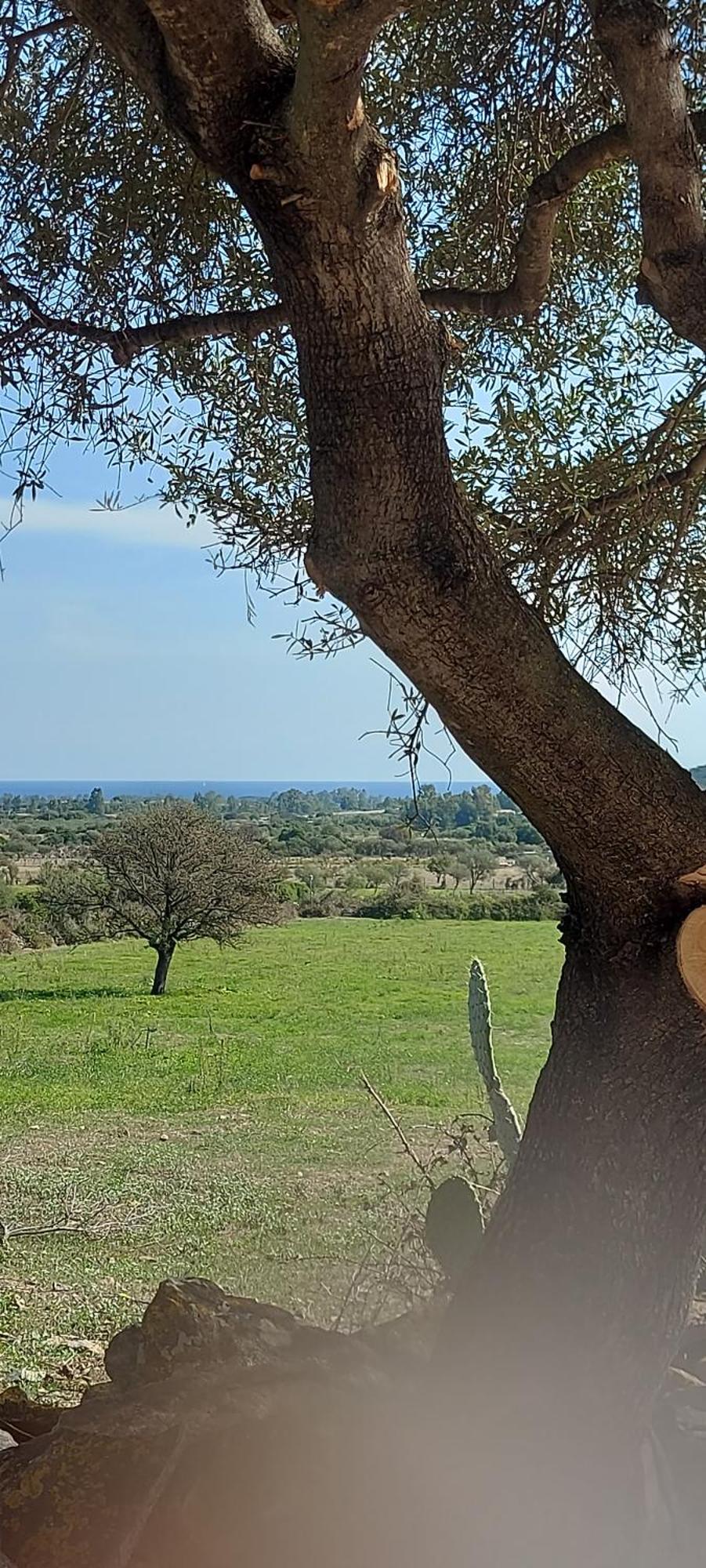 הוילה בודוני La Casa Di Eve מראה חיצוני תמונה