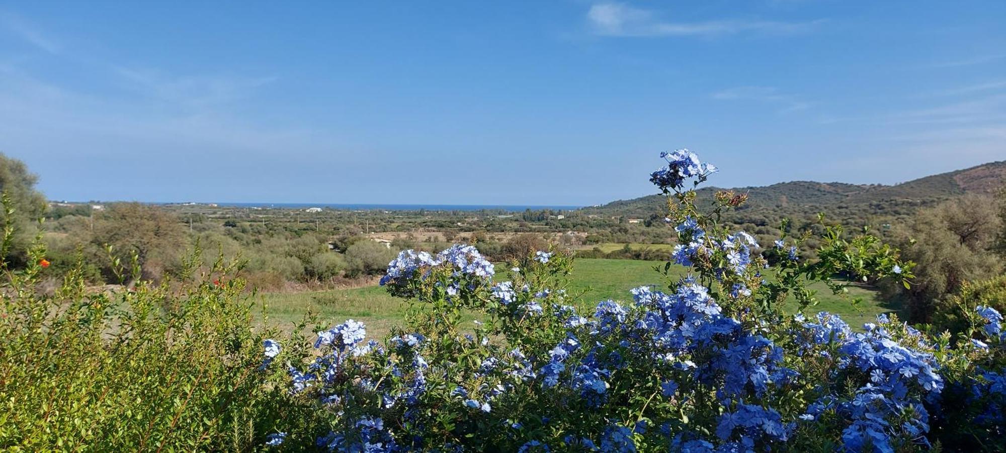 הוילה בודוני La Casa Di Eve מראה חיצוני תמונה